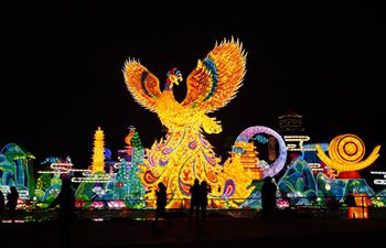 Colourful lanterns lighted up across China to celebrate upcoming Lunar New Year