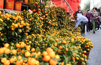 People visit flower market in Guangzhou, Guangdong