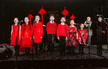 Dublin Chinese New Year Festival opens