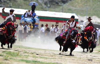 Bumper Harvest Festival celebrated in China's Tibet