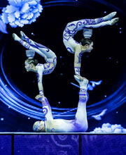 邓洪富裕杂技《青花瓷》