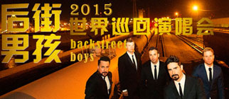 后街男孩2015世界巡回演唱会