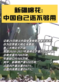 新疆棉花:中国自己还不够用