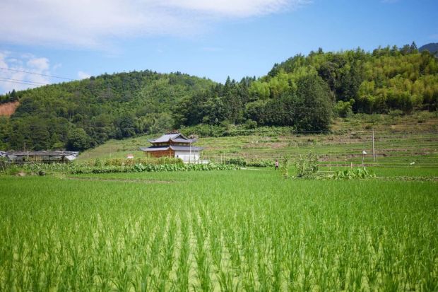 打造农村污水治理样板 描绘美丽乡村新画卷