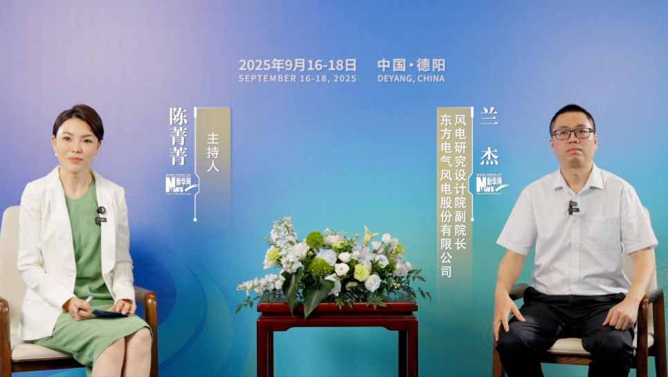 兰杰:中国的海上风电已处于全球领先