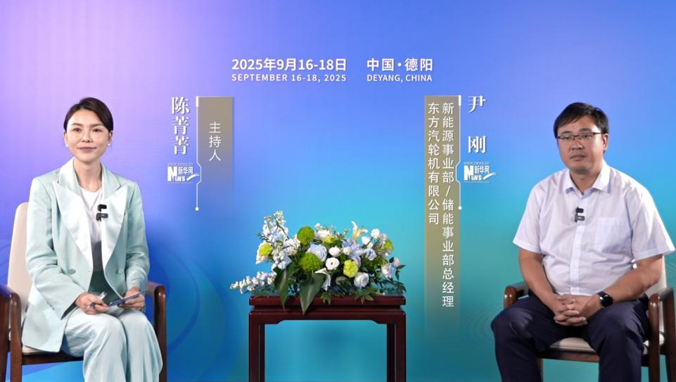 尹刚:以“风光”为主的新能源发展要依托储能去提高消纳能力和收益空间