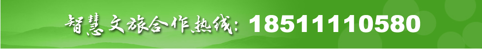 智慧文旅合作