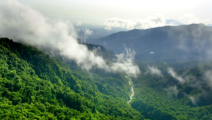 珍爱地球 人与自然和谐共生