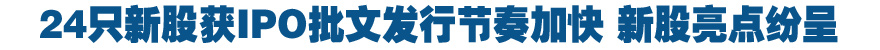 24只新股获IPO批文发行节奏加快 新股亮点纷呈
