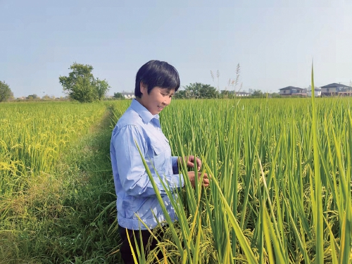 虫口夺粮　力保丰收