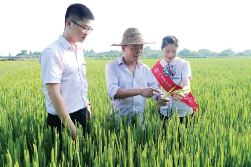 农行湖州分行：立足三农　助力打造“无差别城乡”