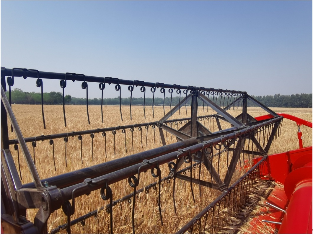 1686887828392.png?x-oss-process=style/w10