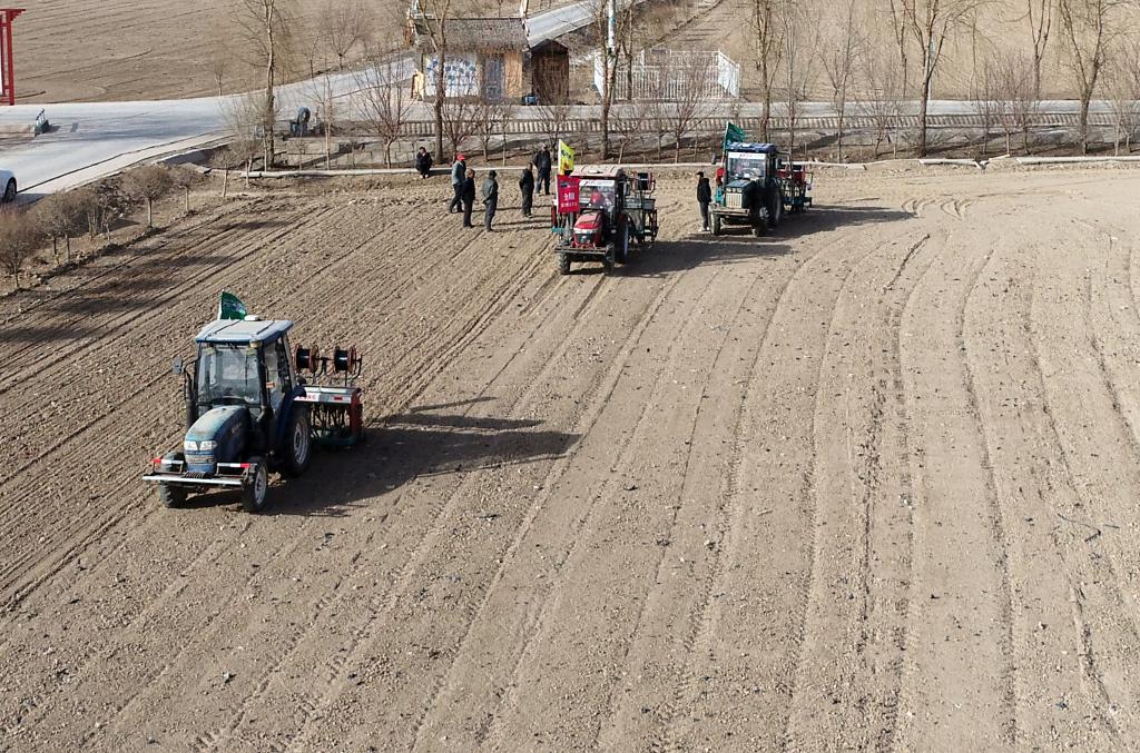 “塞外粮仓”内蒙古巴彦淖尔市农户紧抓墒情好的有利时机抢播小麦！