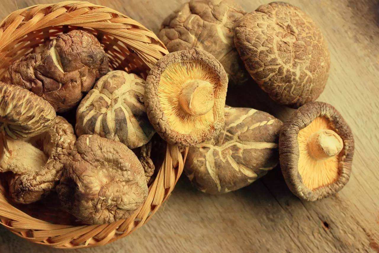 吃蘑菇可降低患认知障碍风险