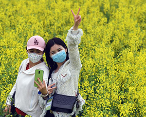 河南宝丰：油菜花开引客来