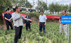 农业农村部农业主推技术土壤消毒技术破解百合连作障碍难题