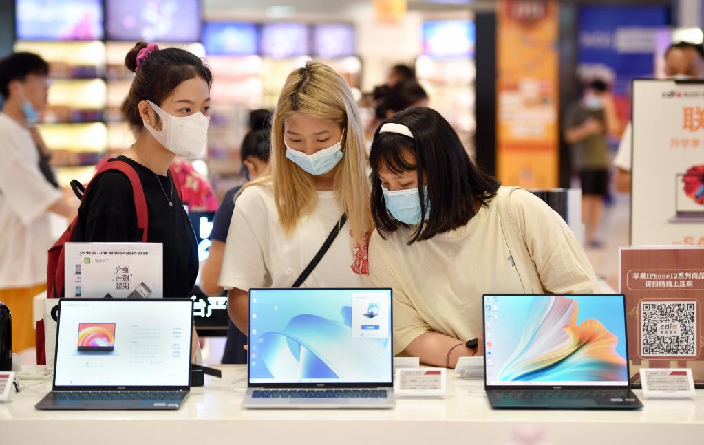 海南自贸港产业“补短板”跑出“加速度”