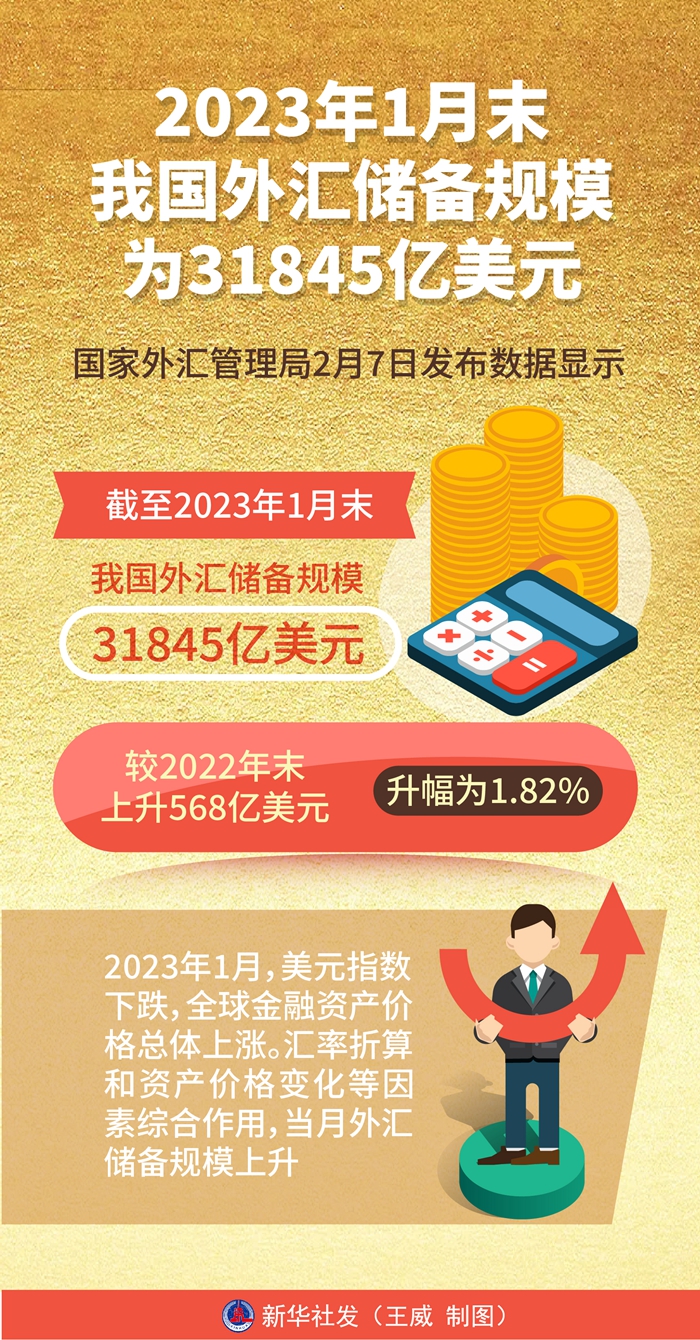 1月末我国外汇储备规模为31845亿美元-新华网