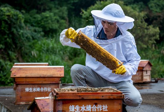 第一届福建永春蜂蜜节暨泉州市林业招商引资大会举行
