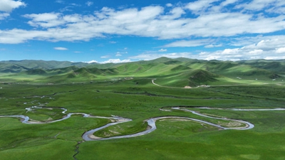 国家统计局城市司首席统计师王中华