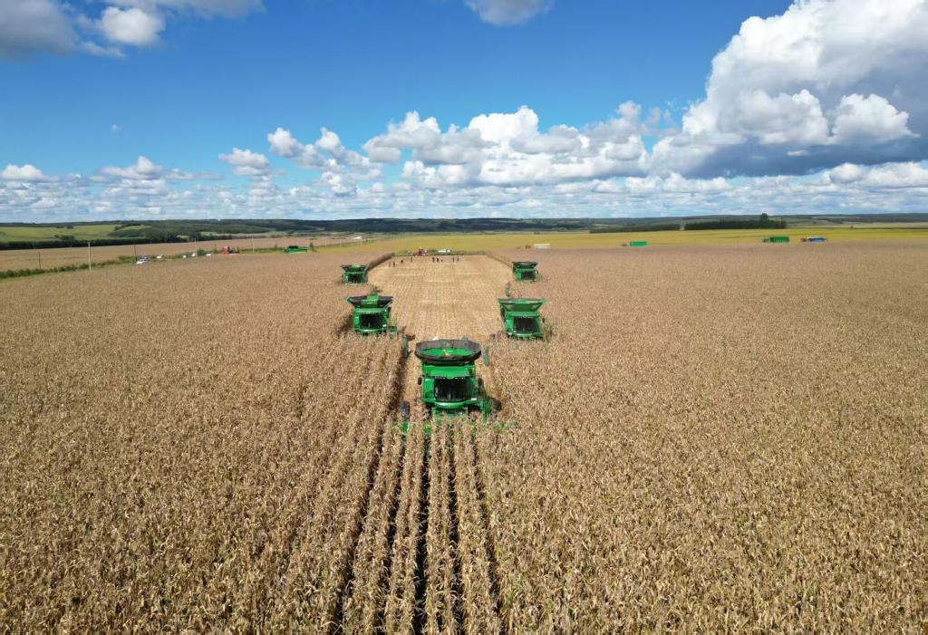 我国最大垦区北大荒集团粮食总产463.14亿斤实现“二十二连丰”