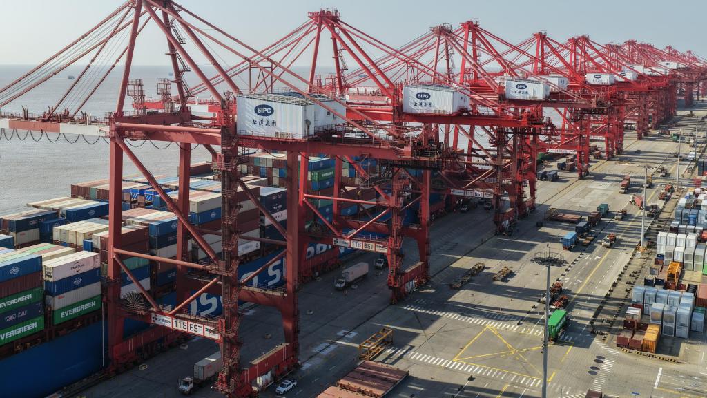 高质量发展大市场丨洋山港拓宽新航路