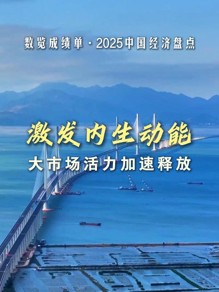 数览成绩单·2025中国经济盘点丨激发内生动能，大市场活力加速释放