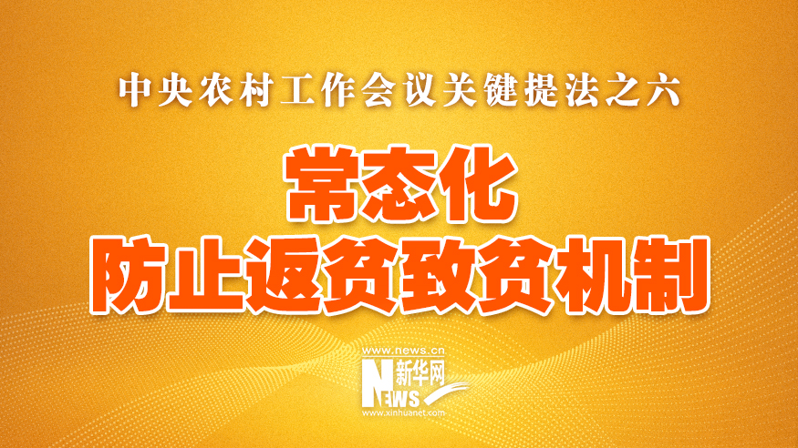 中央农村工作会议关键提法之六：常态化防止返贫致贫机制