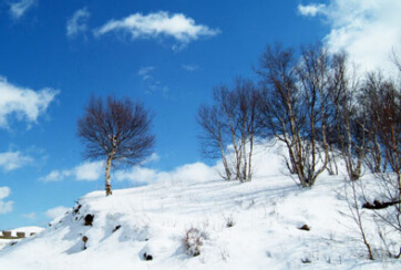 一季度陷入巨亏