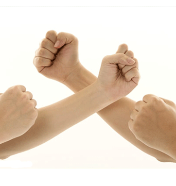 生命与安邦争夺战