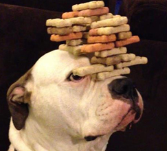 政策需保持定力