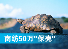 南纺50万"保壳"