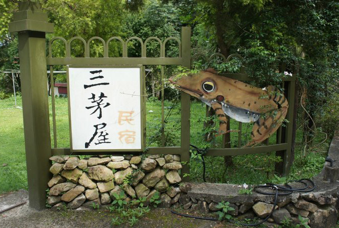 青蛙真能变王子