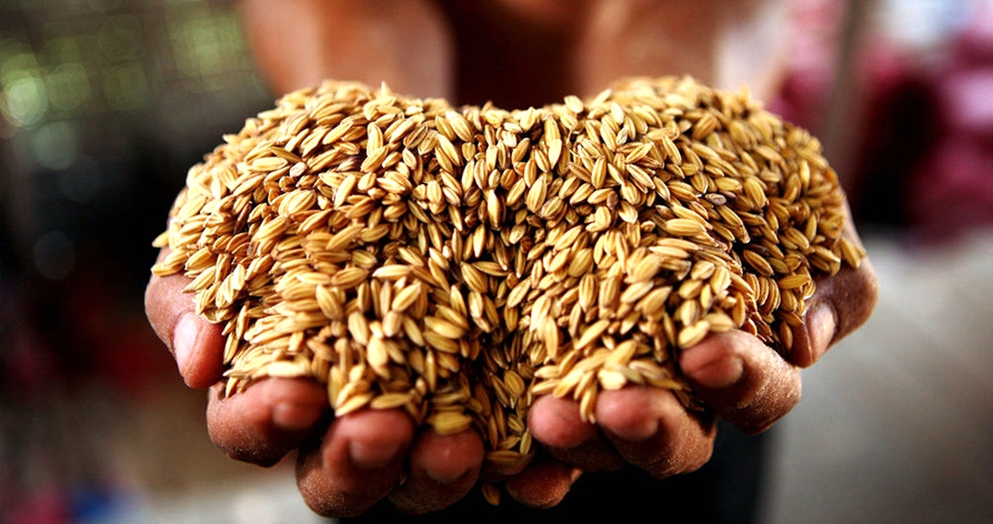 中国出台首个系统部署转变农业发展方式重要文件