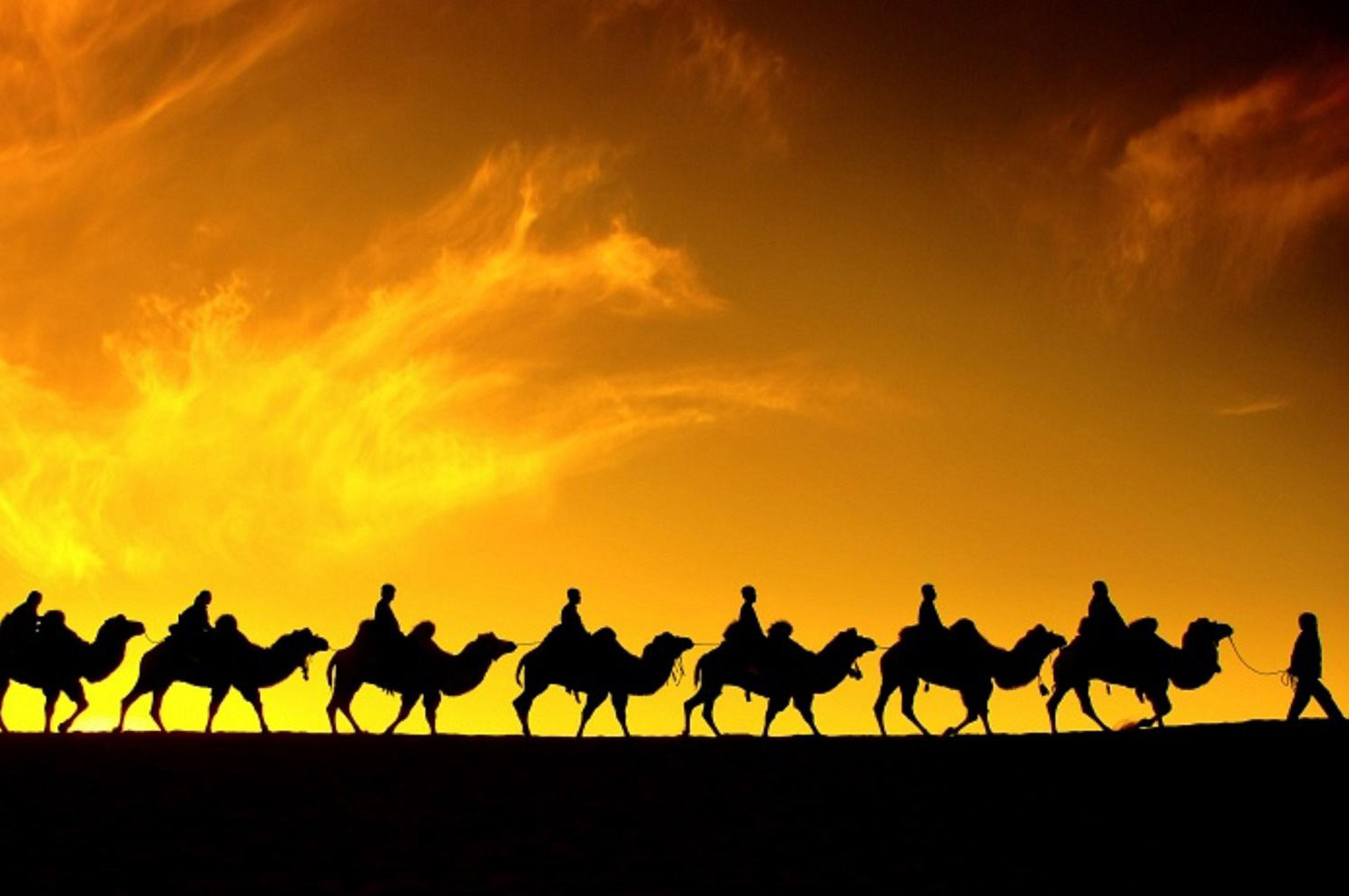 中国经济新气质：“一带一路”带来哪些新商机