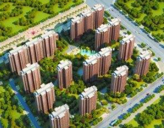 分析师们怎么说？