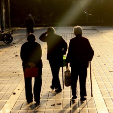 惠及5亿人！基本养老将建调整机制