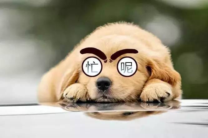 加班费,为何辞职时才敢提