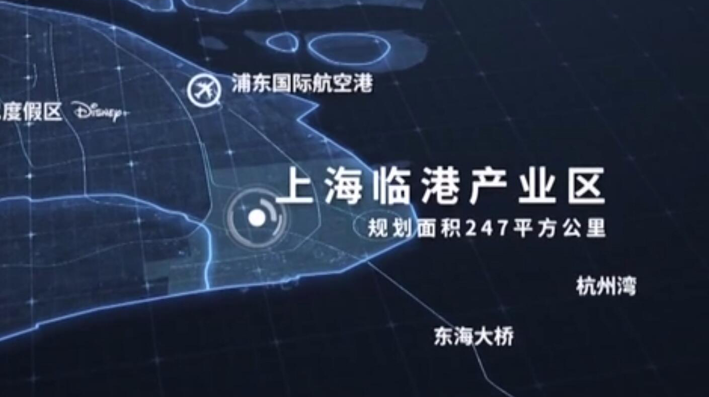 一年了，这个新片区改革进展如何