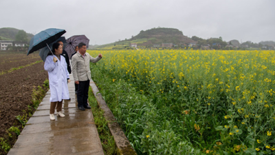 这株&ldquo;不一样的油菜&rdquo;背后的育种密码