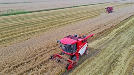 粮田有&ldquo;新事&rdquo; 庄稼出&ldquo;新活&rdquo;