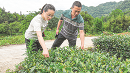 杜富国的妹妹杜富佳：大山里的&ldquo;带货书记&rdquo;