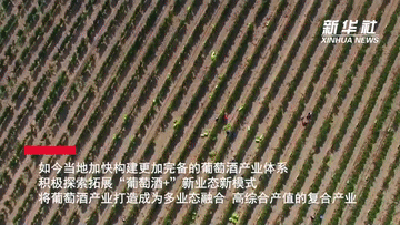宁夏着力打造多业态融合葡萄酒产业