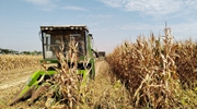 安徽部分地区大豆玉米带状复合种植收获记：首次“双收”迎增收
