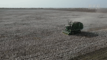 新疆&ldquo;超级棉田&rdquo;再获丰收