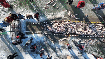 吉林:乘“冬”风掀起发展新热潮