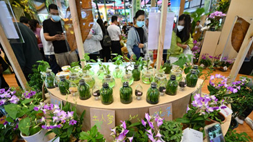 首设主宾国，冬交会“朋友圈”再扩大