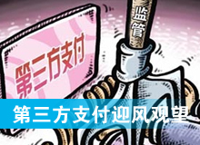 第三方支付迎风观望