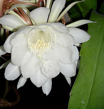 互联网金融是否昙花一现？