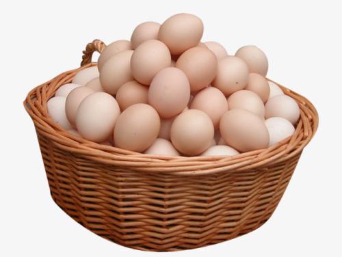 备货需求支撑蛋价 三季度将延续涨势